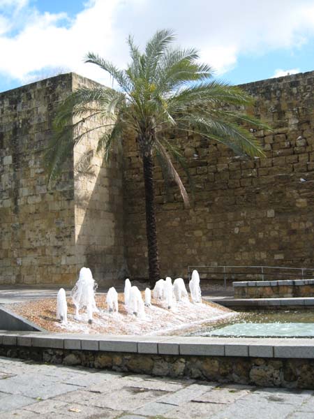 Europe2008 139
