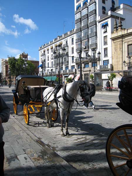 Europe2008 162